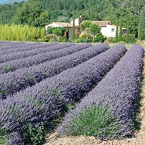 Mas De Longuefeuille France